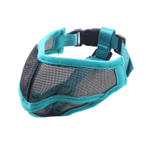KANGYEBAIHUODIAN Passend for den Mund, langlebig, harmlos, Schnallendesign, Anti-Biss-Mundschutz for Haustiere, flaches Gesicht, Maulkorb for Hunde, waschbarer Mundschutz (Color : Green, Size : L) von LinCys