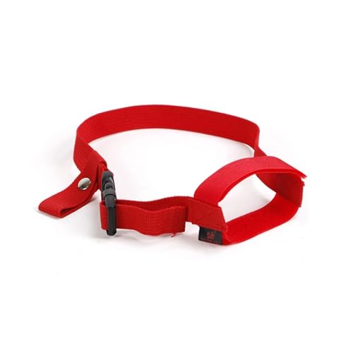 KANGYEBAIHUODIAN Passend for verstellbare Hundemaulkorb, weiches Nylon, Anti-Bell-Einstellgurte, Maske, kleine Hunde, Anti-Biss, atmungsaktiv, stoppt Bellen, Mundschutz (Color : Red, Size : XL) von LinCys