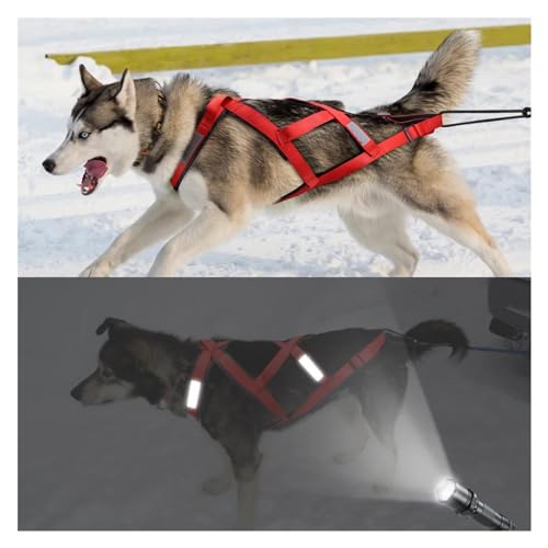 KANGYEBAIHUODIAN Wasserdichtes Hundeschlittengeschirr, reflektierendes Haustier-Schlitten-Skijöring-Geschirr for große und große Hunde, geeignet for das Haustiertraining (Color : Red, Size : Chest 7 von LinCys