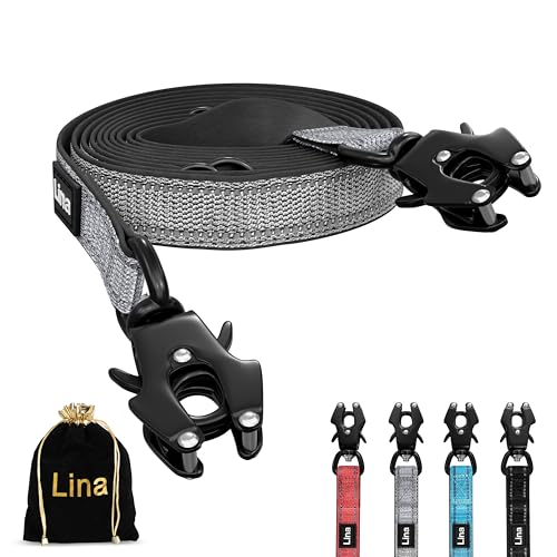 LINA HUNDELEINE – 3m – Verstellbare Doppelleine mit Neopren-Polsterung – rostfreier Frosch-Karabiner 175kg belastbar – Reflektoren – mittelgroße bis große Hunde – mit Aufbewahrungstasche – (Grau) von Lina