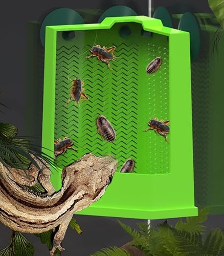 15,5 cm Kakerlaken-Kletter-Futterstation Anti-Flucht-Design Saugnäpfe für Eidechsen Chamäleons Bartdrachen Feeder Eidechse Eckterrarium Schüssel Tassen Gecko Frosch von LinaLife