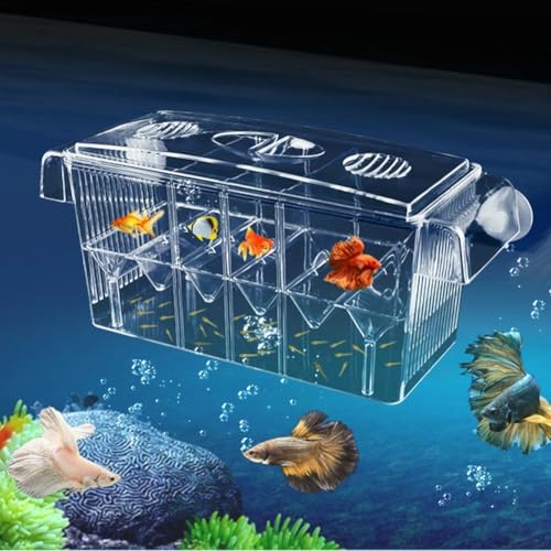 LinaLife Multifunktionale Fischzuchtbox 4 Zimmer Aquarium Züchter Box mit Saugnäpfen Fisch Baby Brutkasten Acryl Fisch Inkubator Isolationsbox für Guppy Baby Fisch Brutkasten Verletzte Schwangere LinaLife Multifunktionale Fischzuchtbox 4 Zimmer Aquarium Züchter Box mit Saugnäpfen Fisch Baby Brutkasten Acryl Fisch Inkubator Isolationsbox für Guppy Baby Fisch Brutkasten Verletzte Schwangere von LinaLife