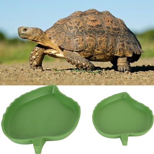 LinaLife Wassernapf für Reptilien, 2 Größen, für Schildkröten, Terrarium, Eidechse, Vivarium, 2 Stück, für Schildkröten, Mais, Schlange, Krabbeln, Haustier, Trinken und Essen LinaLife Wassernapf für Reptilien, 2 Größen, für Schildkröten, Terrarium, Eidechse, Vivarium, 2 Stück, für Schildkröten, Mais, Schlange, Krabbeln, Haustier, Trinken und Essen von LinaLife