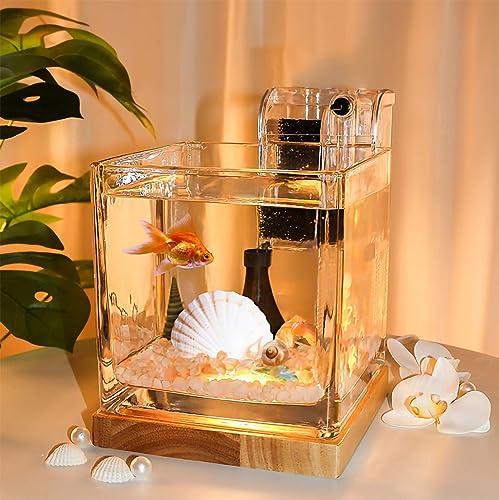 3-Liter Fischbecken-Set Schreibtisch-Aquarium-Set Kleines Glas für Kinder Anfänger Quadratische Betta-Fischschale mit Holzsockel LED-Licht Wasserpumpe Zubehör Selbstreinigender Filter 3-Liter Fischbecken-Set Schreibtisch-Aquarium-Set Kleines Glas für Kinder Anfänger Quadratische Betta-Fischschale mit Holzsockel LED-Licht Wasserpumpe Zubehör Selbstreinigender Filter von LingTing