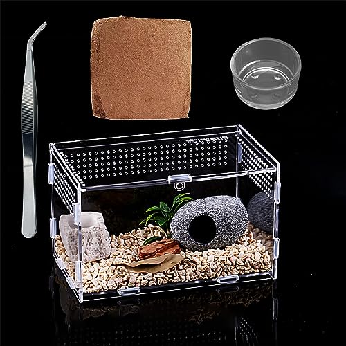 Insekten-Terrarium Set, Acrylglasbehälter, tragbarer Lebensraum für Reptilien und Amphibien, geeignet für Spinnen, Eidechsen, Frösche, Skorpione, Grillen, Geckos (20 * 12 * 12cm) von LingTing