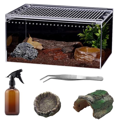 Terrarien für Reptilien-Set 30 * 20 * 15cm, Amphibien-Terrarienstarterset, geeignet für kleine Reptilien wie Geckos, Schlangen, Eidechsen, Schildkröten, Chamäleons, Schlangen von LingTing