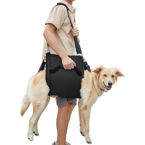 Gelenkretter für ältere Hunde! Die ultraweichen und atmungsaktiven Schienbeinschoner halten jedem Schritt des 15-jährigen Mannes Stand(Black,XXL) von LingXianXing