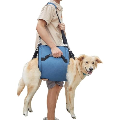 Gelenkretter für ältere Hunde! Die ultraweichen und atmungsaktiven Schienbeinschoner halten jedem Schritt des 15-jährigen Mannes Stand(Blue,L) von LingXianXing