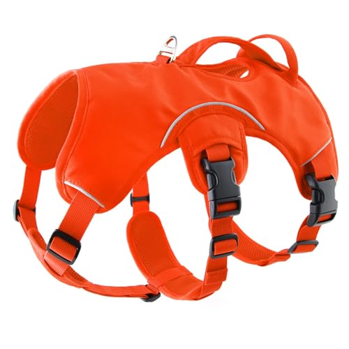 Verabschieden Sie Sich von der Strangulationsangst! Exklusive Stressabbau Weste Leine für Haustiere, schützen Seine Gesundheit und Glück!(Orange,M) von LingXianXing