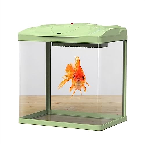 Aquarium Aquarium, grünes Aquarium, ökologischer Tischtank, kein Wasserwechsel, Goldfisch-Glastank mit LED-Leuchten, Kleiner Heimtank mit Wasserpumpe Goldfischbecken von Linmeas-753
