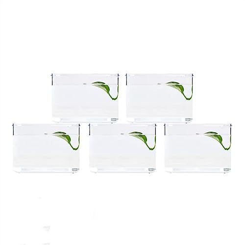 Aquarium Aquarium for Fische, Büro, Desktop, kleines Aquarium, Acryl-Box, Kombination aus einzelnen montierten kleinen Aquarien, klar, transparent Goldfischbecken (Color : D) von Linmeas-753