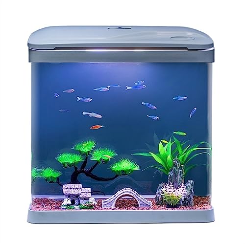 Aquarium Aquarium mit Sauerstofffiltration, integriertes Glas-Aquarium, Kleiner selbstzirkulierender Haushalt mit LED-Leuchten, ökologisches Aquarium Goldfischbecken von Linmeas-753