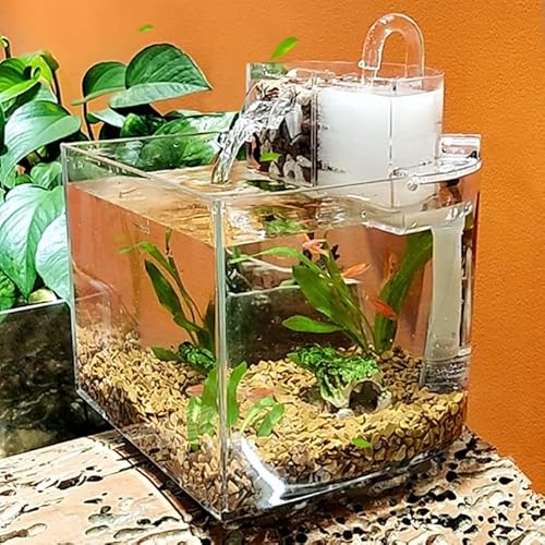 Aquarium Mini Aquarium Tank Desktop Fischschüsseln for kleine Fische Klare Aquarien Wasserfall Outlet mit leiser Pumpfilter Baumwolle Goldfischbecken von Linmeas-753