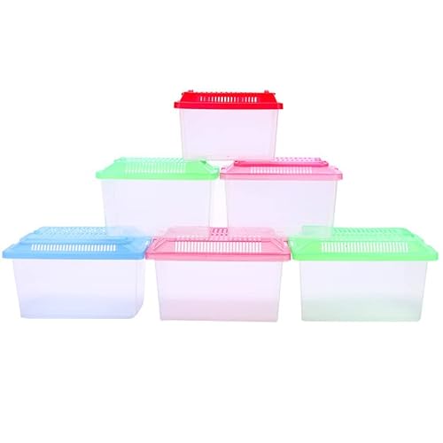 Aquarium Mini-Fischtank Tragbare Haustierkiste Klettern Zuchtkasten Zuchtkasten Reptil Square Box Hamster Transportzüchtung Schildkrötenkasten Goldfischbecken ( Color : Random Color , Size : 18X11X11C Aquarium Mini-Fischtank Tragbare Haustierkiste Klettern Zuchtkasten Zuchtkasten Reptil Square Box Hamster Transportzüchtung Schildkrötenkasten Goldfischbecken ( Color : Random Color , Size : 18X11X11C von Linmeas-753