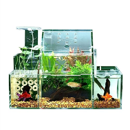 Aquarium Ökologische Aquarium-Desktop-Zucht, Schlüpfen, spezielle Aquarium-Isolationsbox, zirkulierende Wasserfiltrationspumpe, Heimbüro-Aquarium-Dekoration Goldfischbecken von Linmeas-753
