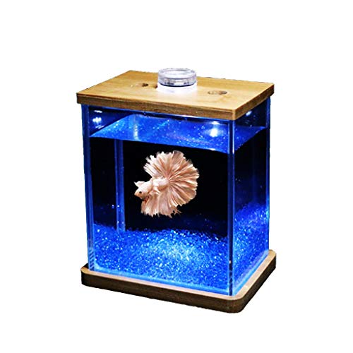 Aquarium Persönlichkeit Kreative Glas Aquarium Aquarium Wohnzimmer Schreibtisch Mode Desktop Kleine Mini Aquarium Goldfischbecken (Color : C) von Linmeas-753