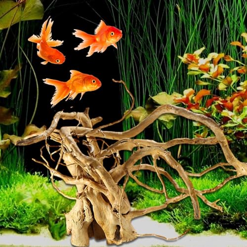 Linsition Treibholz Für Das Aquarium Sinkend Treibholz- Schildkrötenpanzer Natürliches Treibholz Und Zweige Für Reptilien, Aquarium-Dekoration, Ausgewählte Linsition Treibholz Für Das Aquarium Sinkend Treibholz- Schildkrötenpanzer Natürliches Treibholz Und Zweige Für Reptilien, Aquarium-Dekoration, Ausgewählte von Linsition