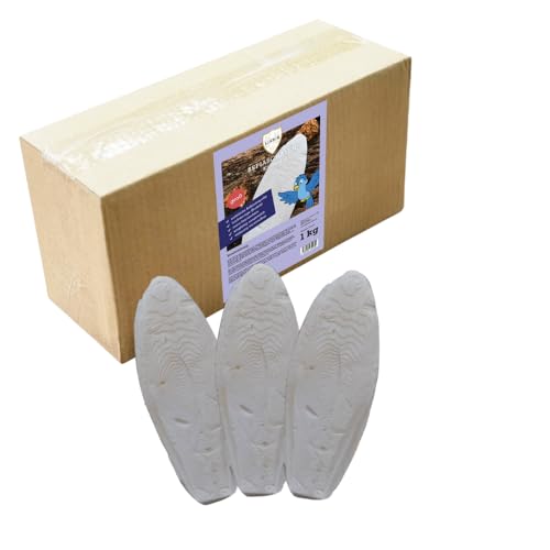 Linsor Natürliche Sepiaschalen für Vögel – Hochwertige Kalziumquelle | 100% Naturbelassen | Erhältlich in Klein (6-9 cm) & Groß (15-25 cm) | 1 kg Packung (Groß) von Linsor