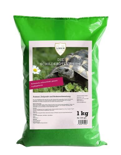 Linsor Schildkrötenweide, Futterpflanzen für Landschildkröten, Wildkräuter, Saatgut Mischung, 1kg für 100m² Linsor Schildkrötenweide, Futterpflanzen für Landschildkröten, Wildkräuter, Saatgut Mischung, 1kg für 100m² von Linsor