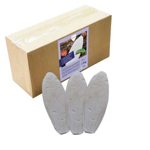 Natürliche Sepiaschalen für Reptilien – Hochwertige Kalziumquelle | 100% Naturbelassen | Erhältlich in Klein (6-9 cm) & Groß (15-25 cm) | 1 kg Packung (Groß) von Linsor
