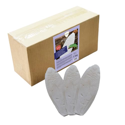 Natürliche Sepiaschalen für Reptilien Hochwertige Kalziumquelle | 100% Naturbelassen | Erhältlich in Klein (6-9 cm) & Groß (15-25 cm) | 1 kg Packung (Klein) von Linsor