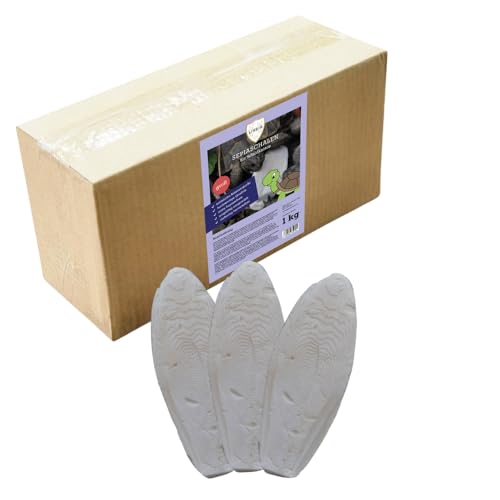 Natürliche Sepiaschalen für Schildkröten Hochwertige Kalziumquelle | 100% Naturbelassen | Erhältlich in Klein (6-9 cm) & Groß (15-25 cm) | 1 kg Packung (Groß) von Linsor