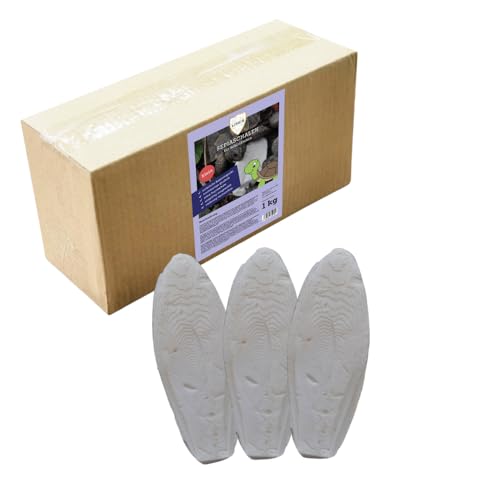 Natürliche Sepiaschalen für Schildkröten – Hochwertige Kalziumquelle | 100% Naturbelassen | Erhältlich in Klein (6-9 cm) & Groß (15-25 cm) | 1 kg Packung (Klein) von Linsor