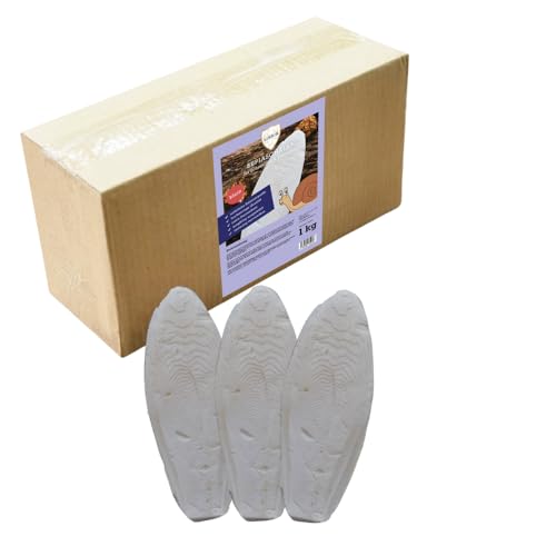 Linsor Natürliche Sepiaschalen für Schnecken & Krebstiere – Hochwertige Kalziumquelle | 100% Naturbelassen | Erhältlich in Klein (6-9 cm) & Groß (15-25 cm) | 1 kg Packung (Klein) von Linsor