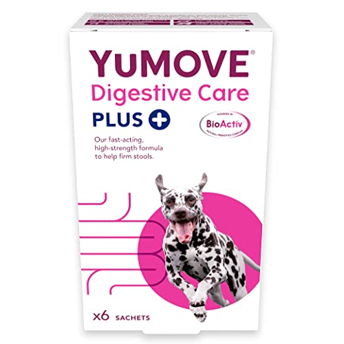 Lintbells Yumpro BioActiv Plus Hund Haustier Tier Katze & Hund Ergänzung - 6 sachets von Yumove