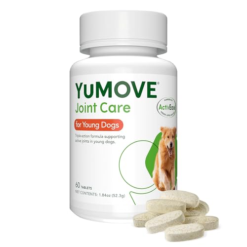 YuMOVE Young & Active Gelenktabletten für junge und aktive Hunde – Nahrungsergänzungsmittel mit Grünlippmuschelpulver – 1 x 60 Tabletten von Yumove
