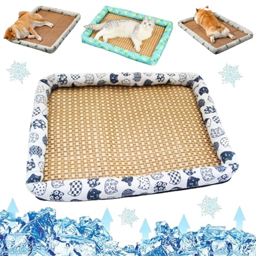 Liocwocne Pet Ice Pad Mat, Flopet Pet Ice Pad Mat, Cats Dogs Cooling Bed, Pet Cooling Ice Mat, Ice Rattan Cooling Bed for Cats Dogs, Washable Summer Pet Ice Mat Sleeping Pad with Pillow (40 * 30cm,A) von Liocwocne