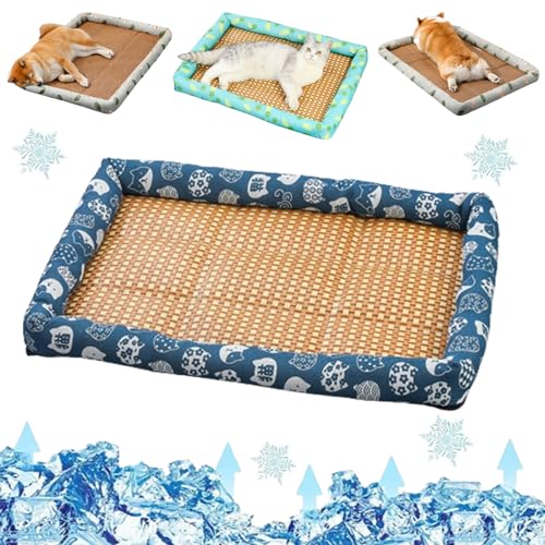 Liocwocne Pet Ice Pad Mat, Flopet Pet Ice Pad Mat, Cats Dogs Cooling Bed, Pet Cooling Ice Mat, Ice Rattan Cooling Bed for Cats Dogs, Washable Summer Pet Ice Mat Sleeping Pad with Pillow (40 * 30cm,B) von Liocwocne