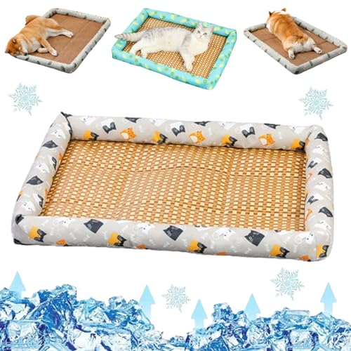 Liocwocne Pet Ice Pad Mat, Flopet Pet Ice Pad Mat, Cats Dogs Cooling Bed, Pet Cooling Ice Mat, Ice Rattan Cooling Bed for Cats Dogs, Washable Summer Pet Ice Mat Sleeping Pad with Pillow (40 * 30cm,C) von Liocwocne