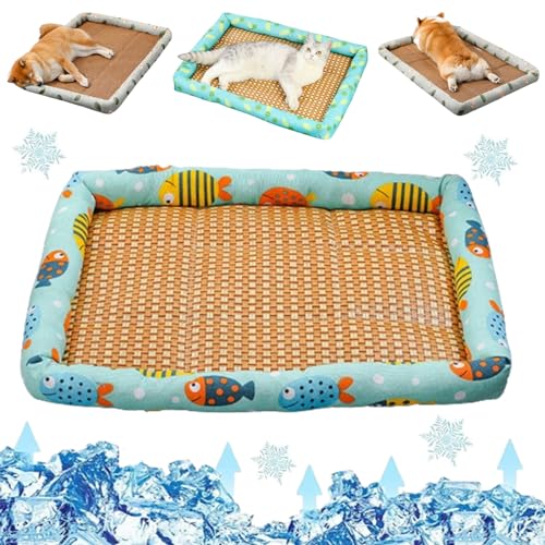 Liocwocne Pet Ice Pad Mat, Flopet Pet Ice Pad Mat, Cats Dogs Cooling Bed, Pet Cooling Ice Mat, Ice Rattan Cooling Bed for Cats Dogs, Washable Summer Pet Ice Mat Sleeping Pad with Pillow (40 * 30cm,F) von Liocwocne