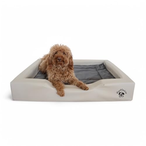 LionFlex Set | Orthopädisches Hundebett Pfotenruhe Beige+ Anti-Haar Hundedecke Ella Anthrazit| Veganes Kunstleder | Memory Foam | Öko-Tex Zertifiziert | Hand Made | Ergonomisch (100 x 80 x 16) von LionFlex