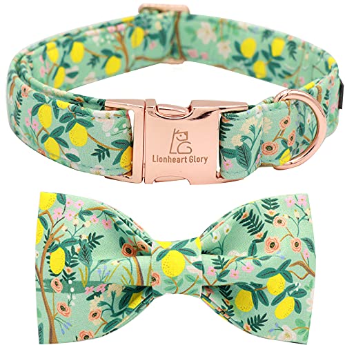 Lionheart glory Hundehalsband, Blumenmuster, Fliege, verstellbar, strapazierfähig, für Mädchen, Hundehalsband mit Schleife für kleine Hunde Lionheart glory Hundehalsband, Blumenmuster, Fliege, verstellbar, strapazierfähig, für Mädchen, Hundehalsband mit Schleife für kleine Hunde von Lionheart glory