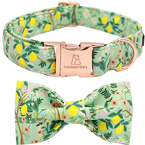 Lionheart glory Hundehalsband, mit Fliege, verstellbar, strapazierfähig, für Mädchen, mit Schleife für mittelgroße Hunde Lionheart glory Hundehalsband, mit Fliege, verstellbar, strapazierfähig, für Mädchen, mit Schleife für mittelgroße Hunde von Lionheart glory