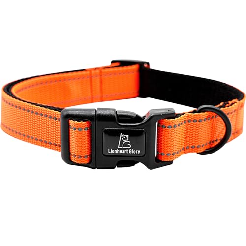 Lionheart glory Hundehalsband, reflektierend, für weibliche und männliche Halloween, orangefarbenes Halsband, verstellbar, langlebig, weich, klassisches Halsband für kleine Hunde, Haustiergeschenk Lionheart glory Hundehalsband, reflektierend, für weibliche und männliche Halloween, orangefarbenes Halsband, verstellbar, langlebig, weich, klassisches Halsband für kleine Hunde, Haustiergeschenk von Lionheart glory