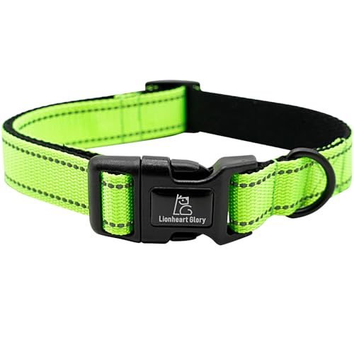 Lionheart glory Hundehalsband, reflektierend, für weibliche und männliche Haustiere, grün, verstellbar, langlebig, weich, klassisches Halsband für mittelgroße Hunde, Haustiergeschenk Lionheart glory Hundehalsband, reflektierend, für weibliche und männliche Haustiere, grün, verstellbar, langlebig, weich, klassisches Halsband für mittelgroße Hunde, Haustiergeschenk von Lionheart glory