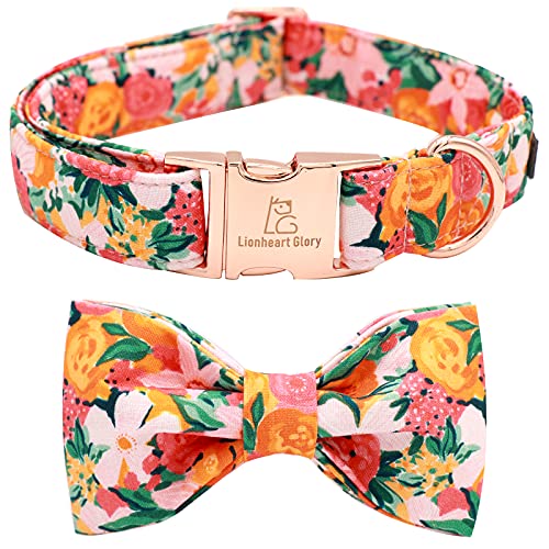 Lionheart glory Premium Hundehalsband mit Blumenmuster, Fliege, verstellbar, strapazierfähig, mit Schleife für kleine Hunde Lionheart glory Premium Hundehalsband mit Blumenmuster, Fliege, verstellbar, strapazierfähig, mit Schleife für kleine Hunde von Lionheart glory