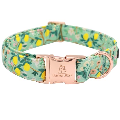 Lionheart glory Premium Hundehalsband mit Blumenmuster, niedlich, Frühling, verstellbar, weich, für Mädchen, Haustierhalsbänder für große Hunde, Welpengeschenk Lionheart glory Premium Hundehalsband mit Blumenmuster, niedlich, Frühling, verstellbar, weich, für Mädchen, Haustierhalsbänder für große Hunde, Welpengeschenk von Lionheart glory
