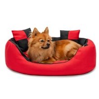 Lionto 4-in-1 Hundebett S von Lionto