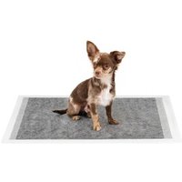 Lionto Hygieneunterlage mit Kohlefaser für Hunde 6-lagig 100 L Lionto Hygieneunterlage mit Kohlefaser für Hunde 6-lagig 100 L von Lionto