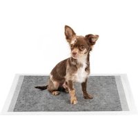 Lionto Hygieneunterlage mit Kohlefaser für Hunde 6-lagig 50 S von Lionto