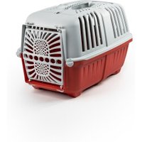 Lionto Transportbox aus Plastik rot M von Lionto