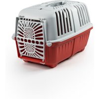 Lionto Transportbox aus Plastik rot S Lionto Transportbox aus Plastik rot S von Lionto