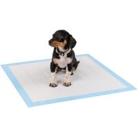 Lionto Welpenunterlage 6-lagig 100 S Lionto Welpenunterlage 6-lagig 100 S von Lionto