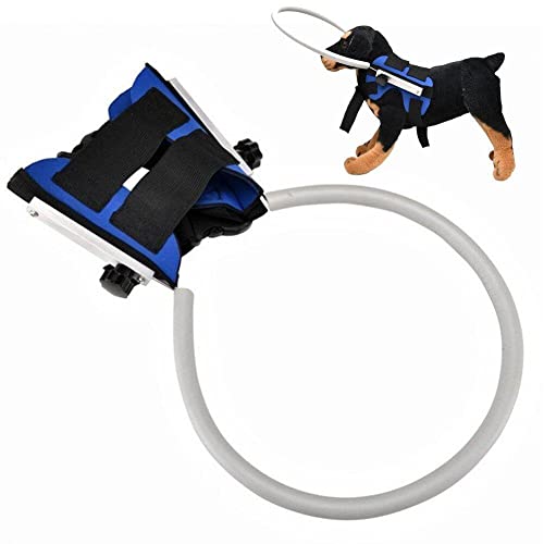 Blind Dog-Gurt Guiding-gerät Haustier Anti-kollisionsring Verstellbar von Lipfer