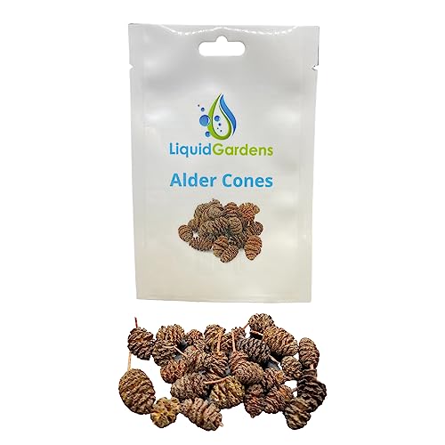 Liquid Gardens Erlenzapfen, 25 Stück - Aquarium Garnelen Zubehör, Aquarium Botanicals, Tannine für Betta Fisch, Garnelen Wasseraufbereiter, Erlenzapfen Aquarium, Süßwasser Garnelen für Aquarium von Liquid Gardens