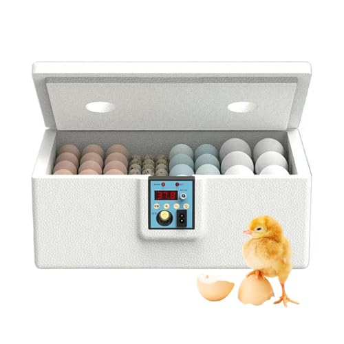 Brutmaschine zum Schlüpfen von Eiern | Automatischer Brutkasten für Eier 10-25, intelligenter automatischer Inkubator mit Eierumdrehung für Geflügelzucht und Schlüpfen im Gewächshaus von Liqzirtu